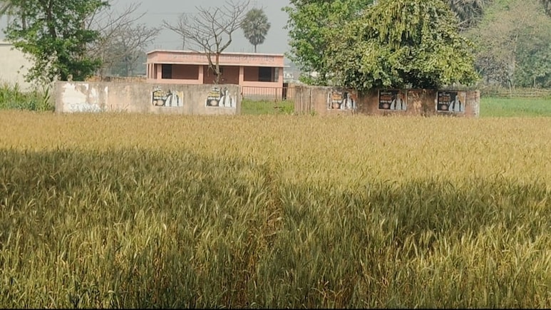 Bihar: विकास की ये कैसी उड़ान, न सड़क, न शिक्षक, न बच्चे; खेत के बीच बना दिया स्कूल