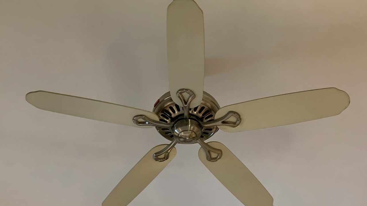 Dust Free Ceiling Fan Benefits And Reasons To Choose One Dust Free Ceiling Fan Benefits And Reasons To Choose One