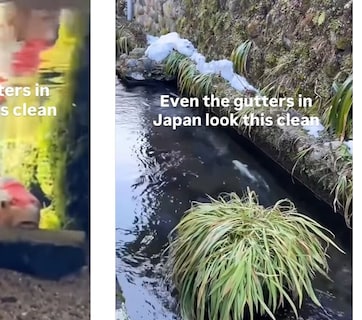 गटर या आलीशान एक्वेरियम? जापान की नालियों में तैरती हैं रंग-बिरंगी मछलियां, देख खुली रह जाएंगी आंखें!