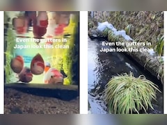 गटर या आलीशान एक्वेरियम? जापान की नालियों में तैरती हैं रंग-बिरंगी मछलियां, देख खुली रह जाएंगी आंखें!