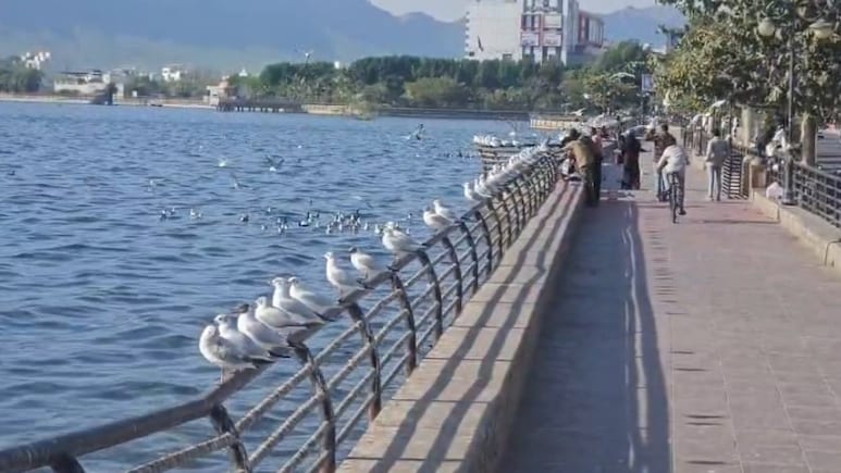 सेवन वंडर्स हटने के बाद अब 78 करोड़ में मिलेगा आनासागर को पुनर्जीवन, सुप्रीम कोर्ट में चल रहा जमीन का मामला