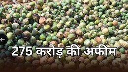 उदयपुर में पकड़ी गई 275 करोड़ की अफीम, एंटी नारकोटिक्स टास्क फोर्स की बड़ी कार्रवाई