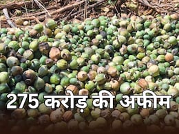 उदयपुर में पकड़ी गई 275 करोड़ की अफीम, एंटी नारकोटिक्स टास्क फोर्स की बड़ी कार्रवाई