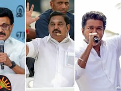 DMK, NDA Or TVK, Who Has Edge In Tamil Nadu? What Surveys Found