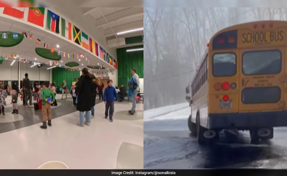 NRI Woman Highlights Differences Between US And Indian Government Schools: 'You Will Be Surprised'