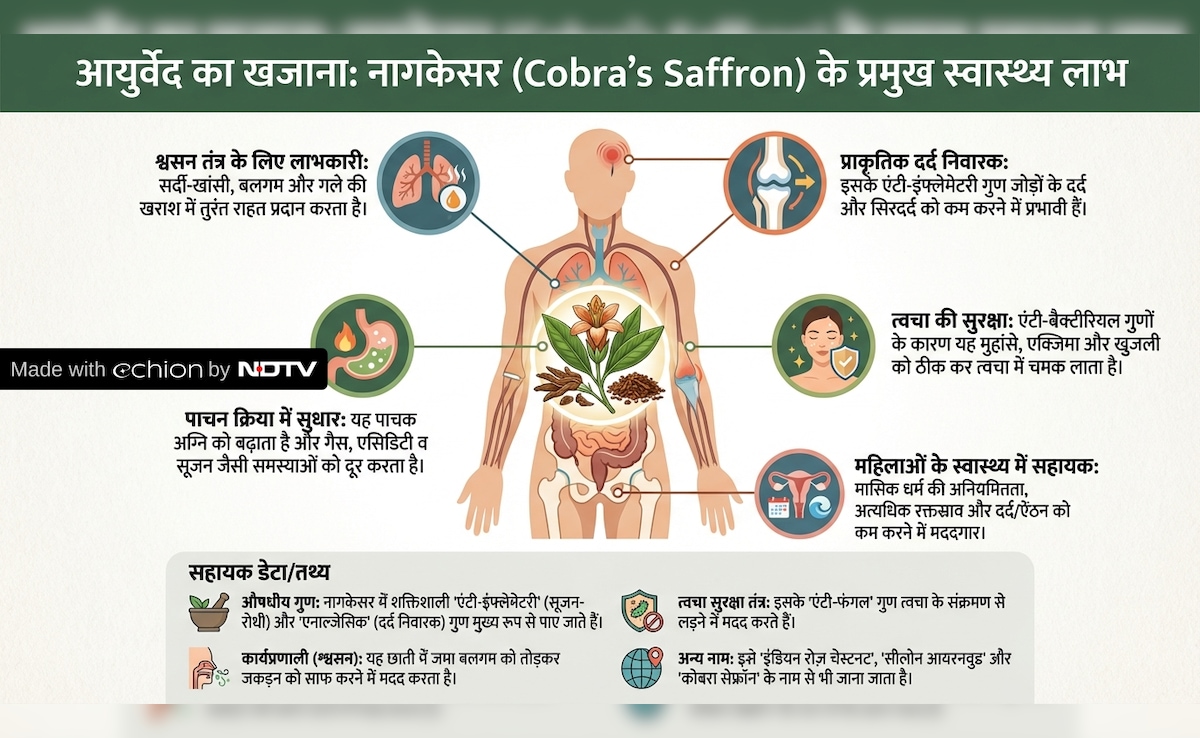 Latest and Breaking News on NDTV