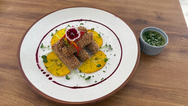 Latest and Breaking News on NDTV