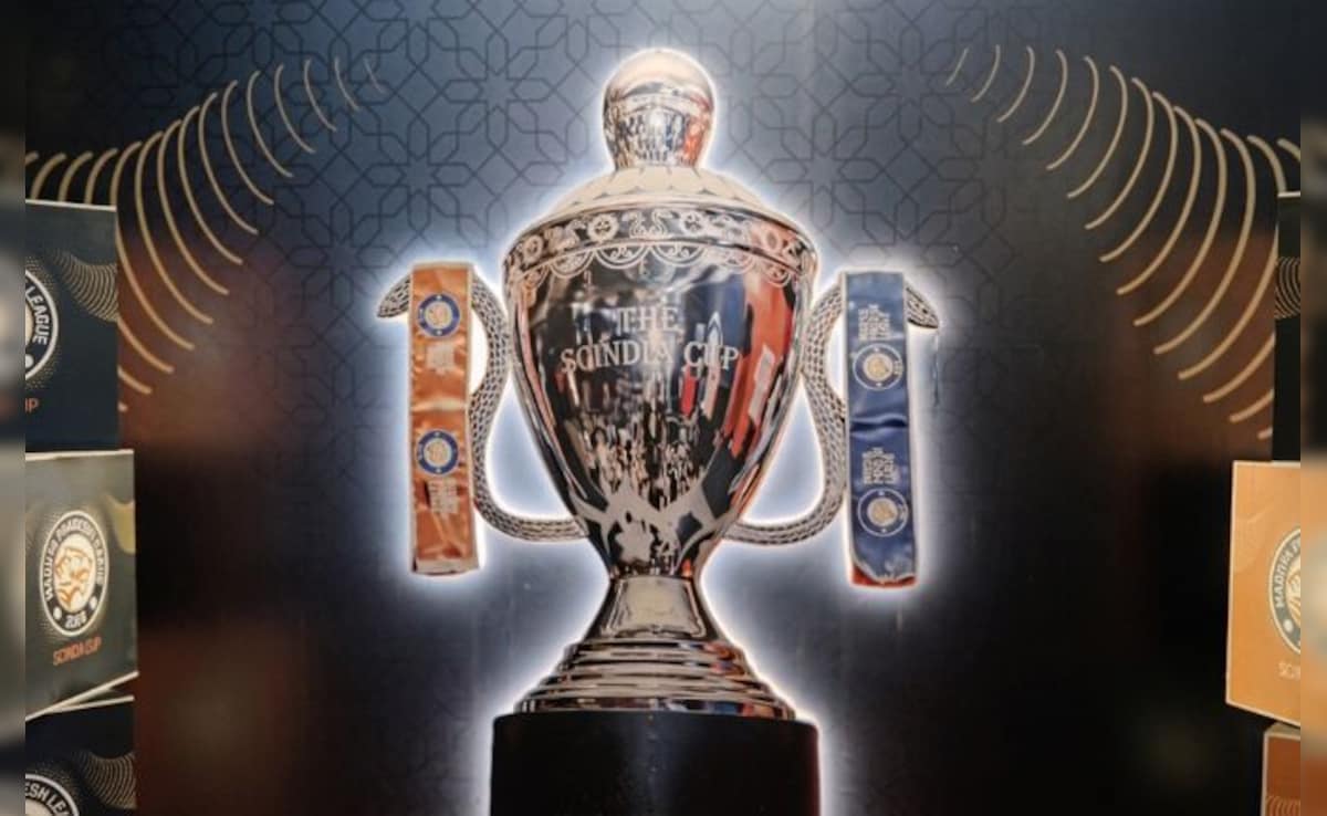 Madhya Pradesh Premier League: एमपीएल में सबसे महंगे बिके आशुतोष शर्मा! पहले दिन 244 खिलाड़ी नीलाम