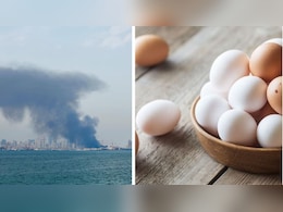 युद्ध मिडिल ईस्ट में, भारत में फूट रहा पोल्ट्री उद्योग का अंडा