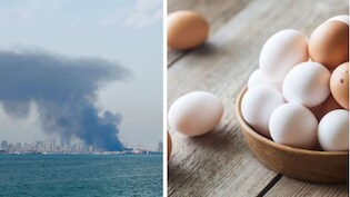 खाड़ी में टेंशन से भारत में सस्ते हुए अंडे, व्यापारी परेशान, ग्राहकों को मिली राहत