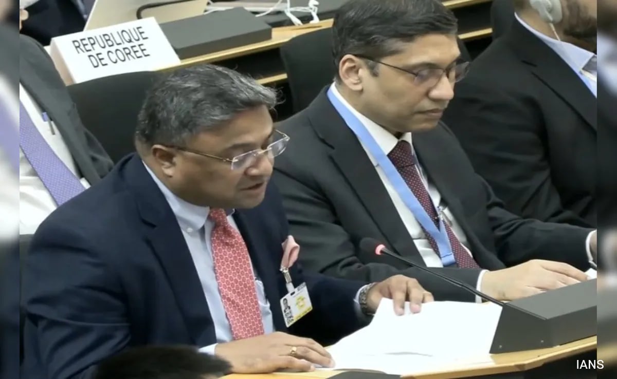 India Highlights Role Of Digital Tools In Advancing Human Rights At UN