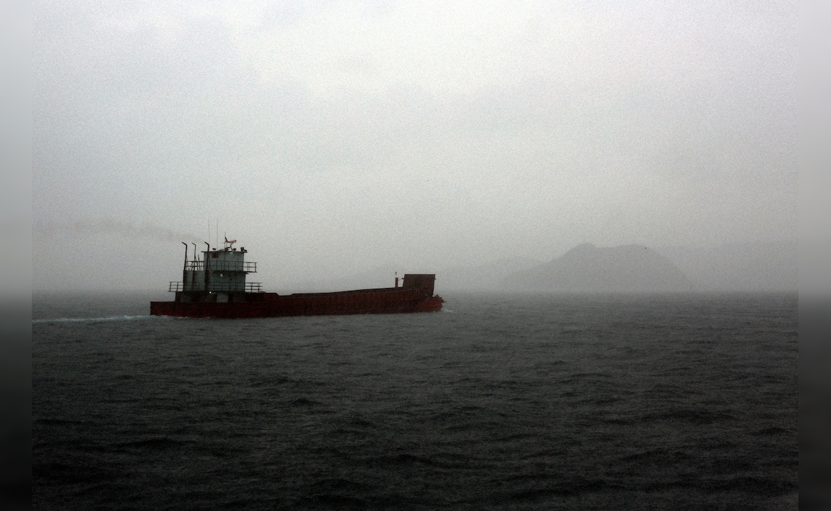 Second Bulk Carrier Claiming To Be Chinese Passes Through Strait Of Hormuz