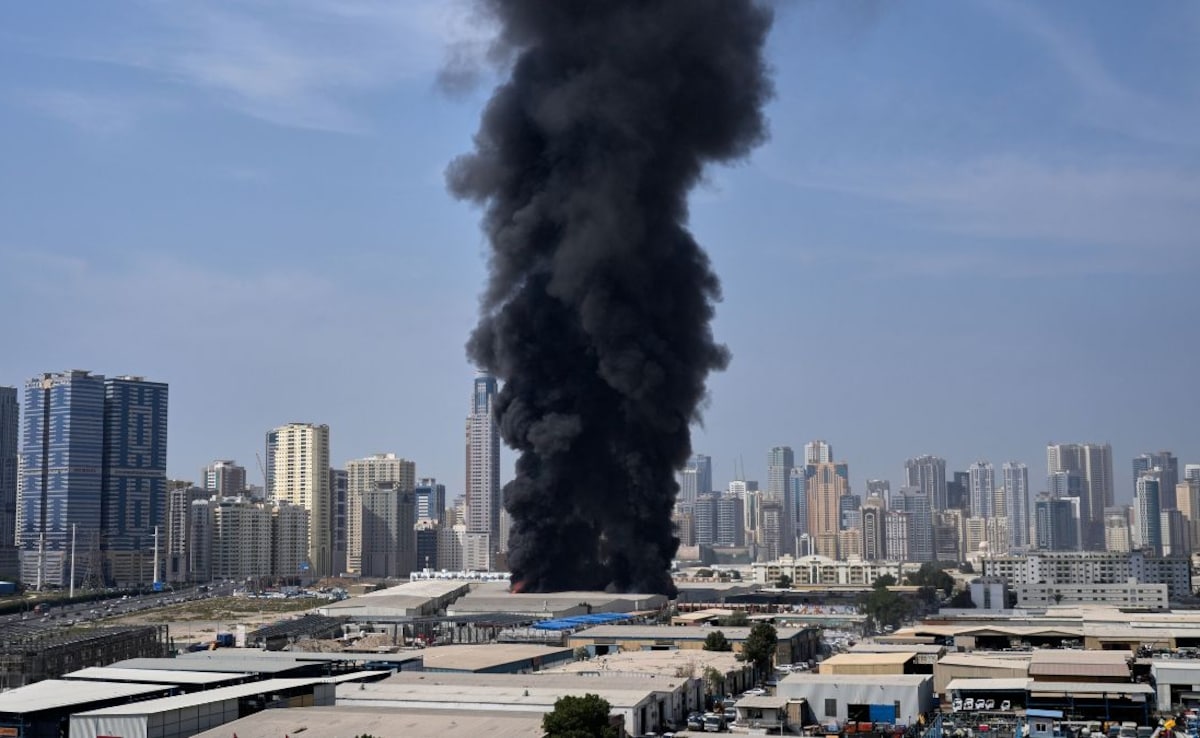 The Art of Baking: From Classic Bread to Artisan Pastries