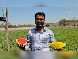 लाखों का पैकेज छोड़ खेती चुनी, आगर मालवा का ये किसान लाल‑पीले तरबूज की स्मार्ट खेती से कर रहा बंपर कमाई