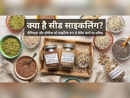 क्या है सीड साइक्लिंग? Nutritionist ने बताया कैसे यह हार्मोनल बैलेंस में है मददगार