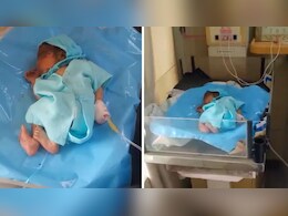 जालोर: सड़क किनारे झाड़ियों में मिला नवजात, रोने की आवाज सुन राहगीरों की पड़ी नजर