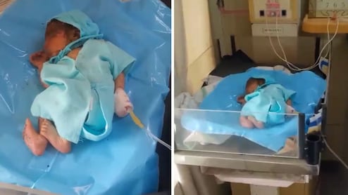 जालोर: सड़क किनारे झाड़ियों में मिला नवजात, रोने की आवाज सुन राहगीरों की पड़ी नजर