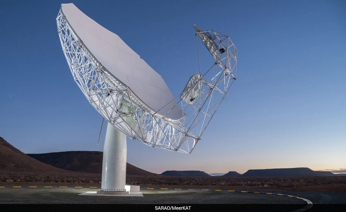 The Art of Baking: From Classic Bread to Artisan Pastries