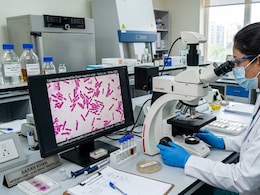 Recent Legionnaire's Disease Outbreaks In London, New York Raise Alarm: Is India At Risk?