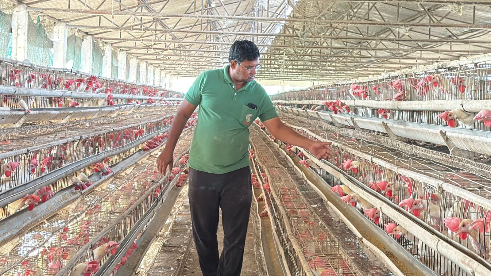 success story poultry farmer oxford invitation india 