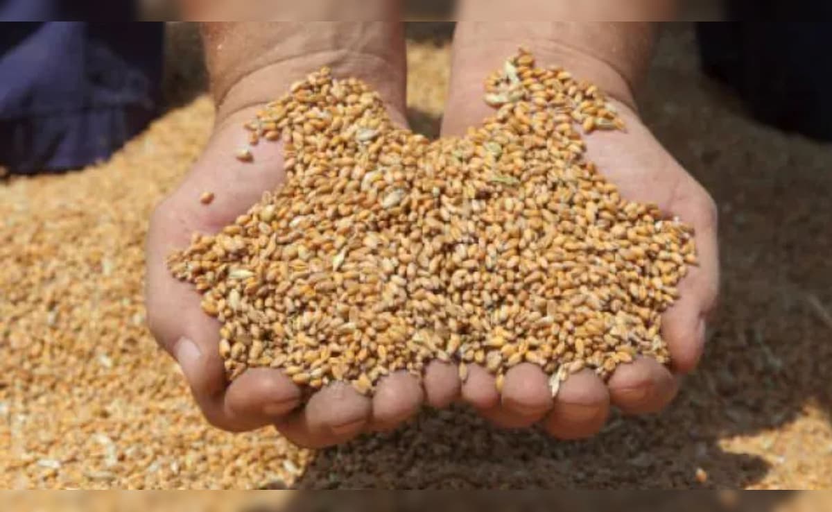 किसानों के लिए खुशखबरी: यूपी में MSP पर गेहूं खरीद शुरू, यहां जानें भाव और ऐसे करें रजिस्ट्रेशन