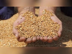 किसानों के लिए खुशखबरी: यूपी में MSP पर गेहूं खरीद शुरू, यहां जानें भाव और ऐसे करें रजिस्ट्रेशन