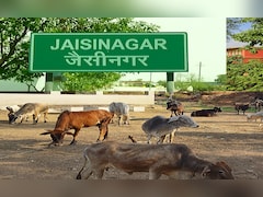 MP के सागर में बनेंगी अत्याधुनिक गौशालाएं;  442 एकड़ भूमि आवंटित, ग्रामीणों को रोजगार