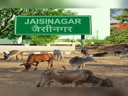 MP के सागर में बनेंगी अत्याधुनिक गौशालाएं;  442 एकड़ भूमि आवंटित, ग्रामीणों को रोजगार