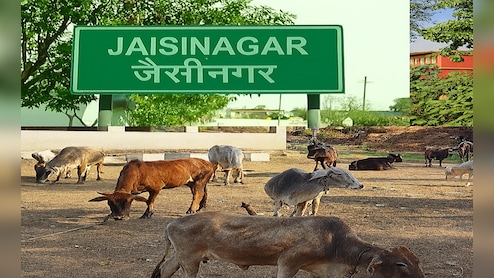 MP के सागर में बनेंगी अत्याधुनिक गौशालाएं;  442 एकड़ भूमि आवंटित, ग्रामीणों को रोजगार