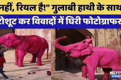 Jaipur photoshoot controversy: Pink Elephant के साथ photoshoot कर विवादों में घिरी Photographer