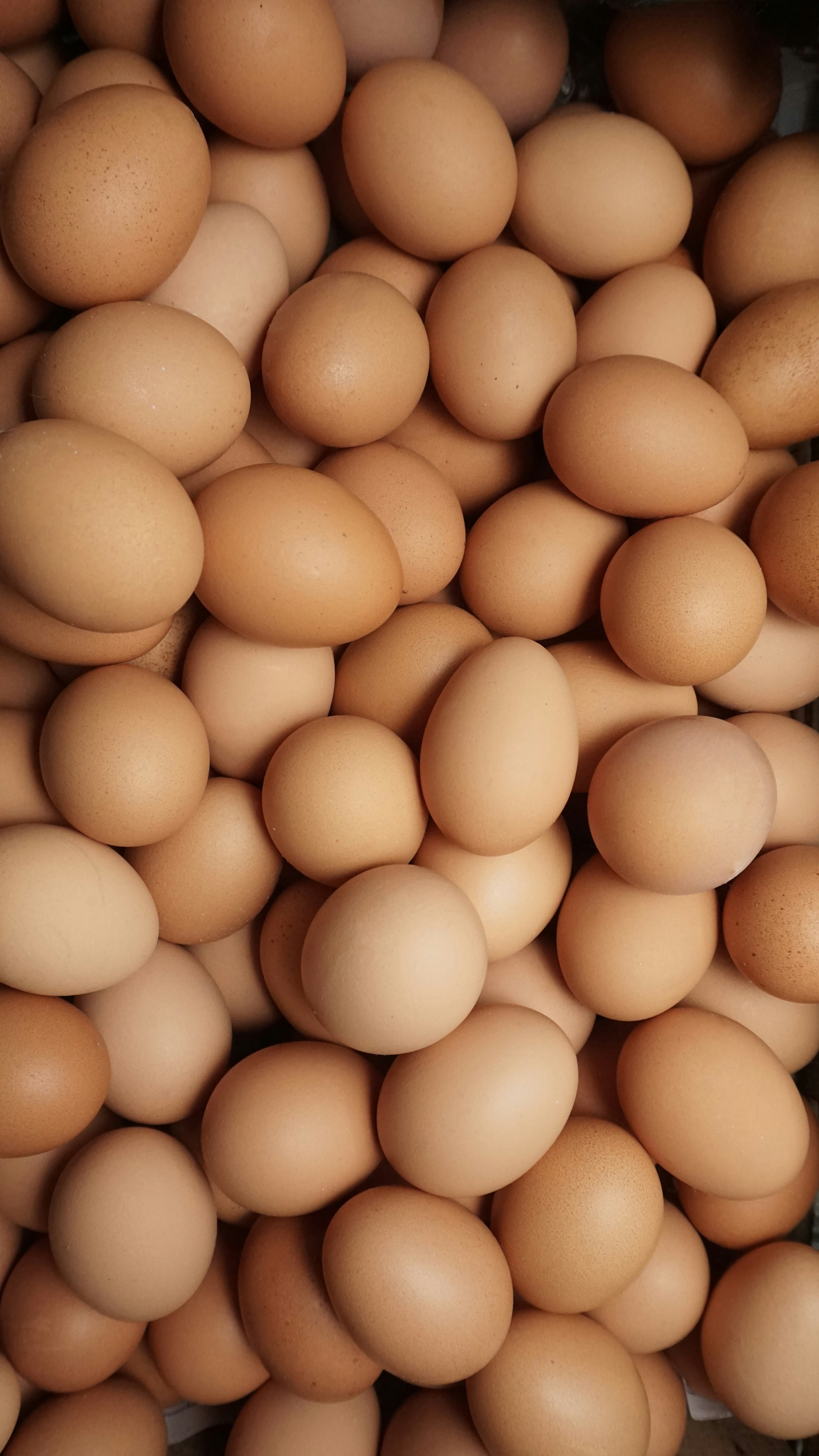Expiry Date On Eggs To Be Stamped From April 1, Mandates UP Government
