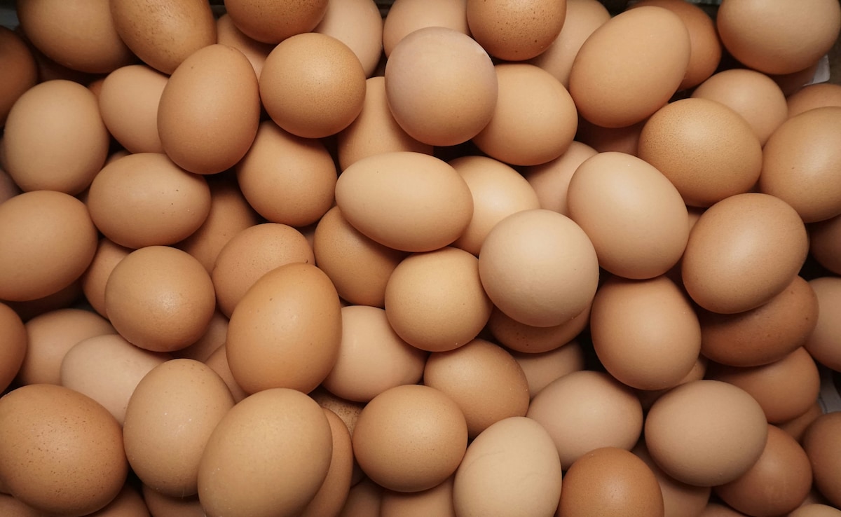 Uttar Pradesh Government Mandates Expiry Date Stamping On Eggs From April 1