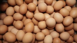 Uttar Pradesh Government Mandates Expiry Date Stamping On Eggs From April 1