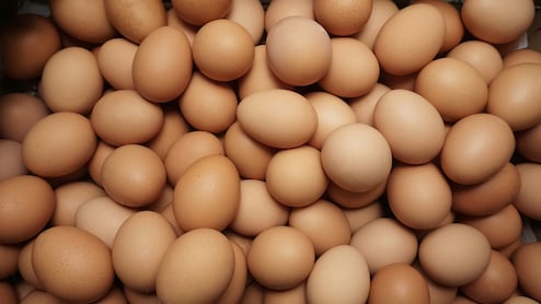 Uttar Pradesh Government Mandates Expiry Date Stamping On Eggs From April 1