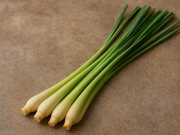 लेमनग्रास क्या होती है? इसके क्या फायदे हैं? कैसे करें इसका इस्तेमाल?