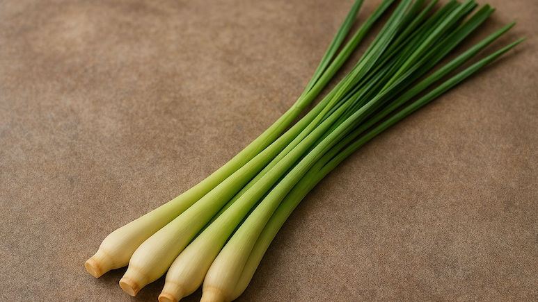 लेमनग्रास क्या होती है? इसके क्या फायदे हैं? कैसे करें इसका इस्तेमाल?