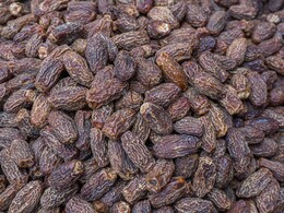 खजूर से घर पर ऐसे बनाएं छुआरा, जानिए 1 किलो बनाने के लिए कितने खजूर चाहिए?