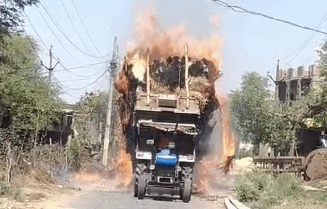 VIDEO: अचानक आग का गोला बनी गेहूं से भरी ट्रैक्टर-ट्रॉली! कटी फसल जलकर खाक