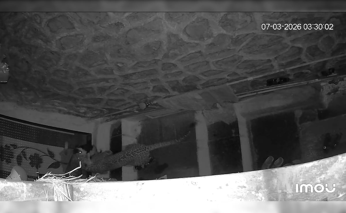 The Art of Baking: From Classic Bread to Artisan Pastries