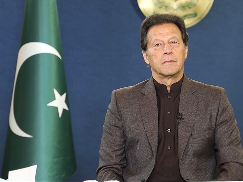 Fan Denied Entry Over 'Imran Khan' T-Shirt. Cricket Australia Takes Big Step