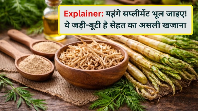 Explainer: महंगा सप्लीमेंट नहीं, हर दर्द की दवा है दादी-नानी की ये एक चमत्कारी जड़ी-बूटी, यही है भारत का असली सुपरफूड!