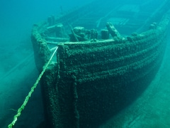 समुद्र से निकला 700 साल पुराना मंगोल सेना का जहाज, असफल आक्रमण का बड़ा राज आया सामने