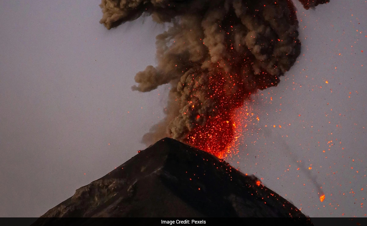 The Art of Baking: From Classic Bread to Artisan Pastries