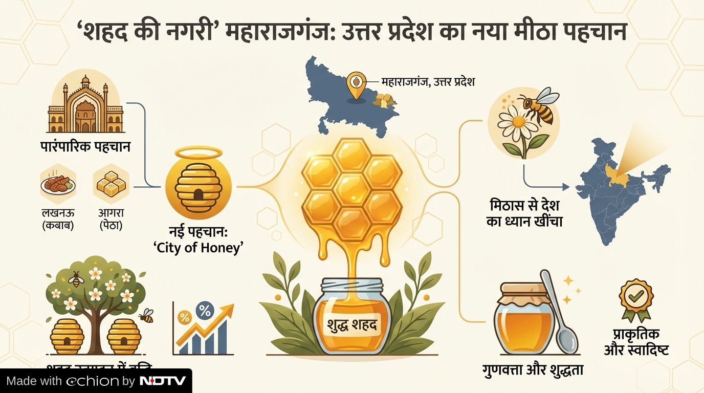 Latest and Breaking News on NDTV Latest and Breaking News on NDTV