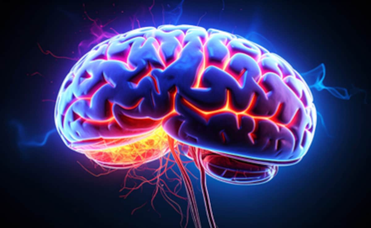 स्ट्रोक के लक्षणों को न करें नजरअंदाज, 'बचाव' फॉर्मूला से बनेगी बात