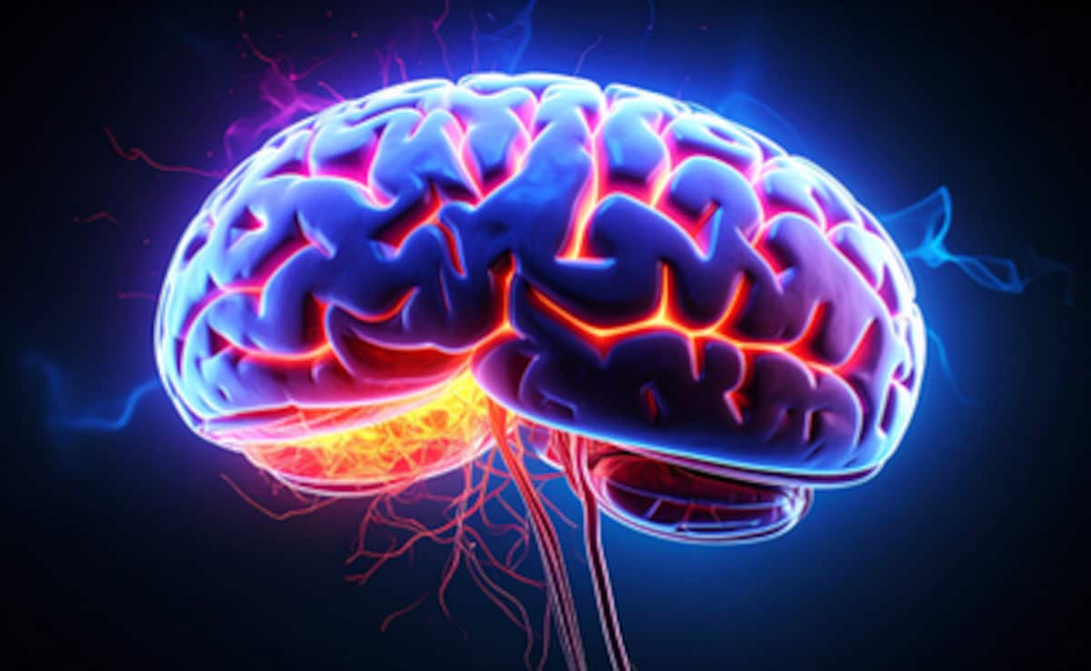 जब शरीर का इम्यून सिस्टम ही दिमाग पर हमला कर दे, अचानक गायब हो सकती हैं यादें, बदल जाती है पूरी पर्सनालिटी