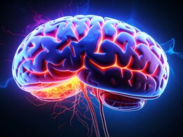 जब शरीर का इम्यून सिस्टम ही दिमाग पर हमला कर दे, अचानक गायब हो सकती हैं यादें, बदल जाती है पूरी पर्सनालिटी