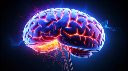 जब शरीर का इम्यून सिस्टम ही दिमाग पर हमला कर दे, अचानक गायब हो सकती हैं यादें, बदल जाती है पूरी पर्सनालिटी