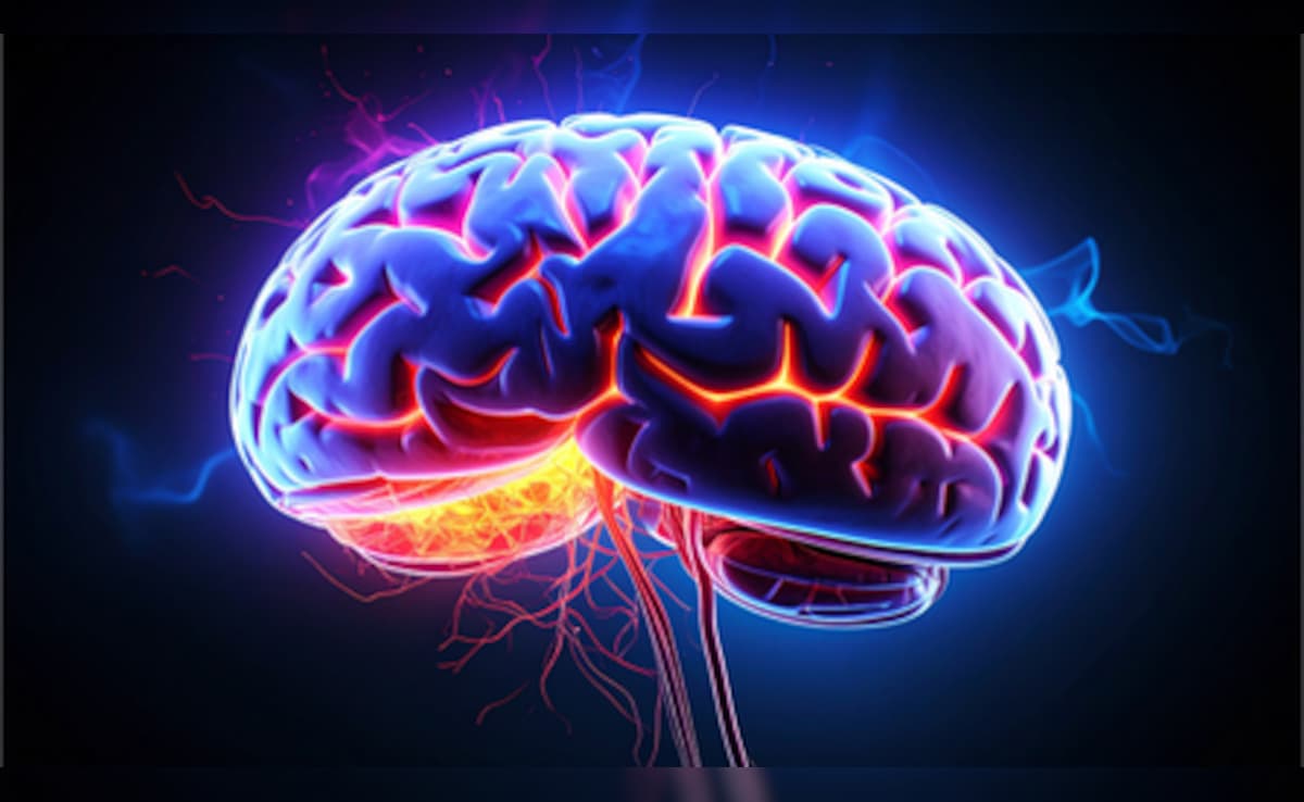 Startup Builds Data Centres Powered By Human Brain Cells, Not Chips