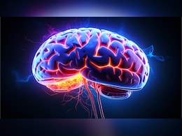 Startup Builds Data Centres Powered By Human Brain Cells, Not Chips